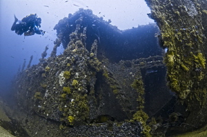 ~ A Love for Rust ~
Exploring the Port Midships section ... by Geo Cloete 